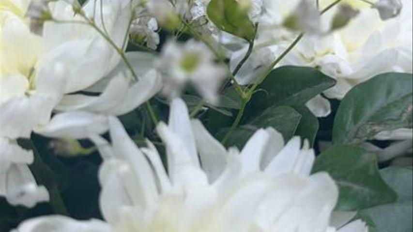 Wedding Event 