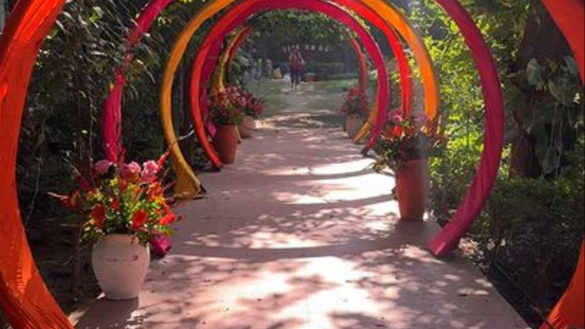 Band Baaja Bliss