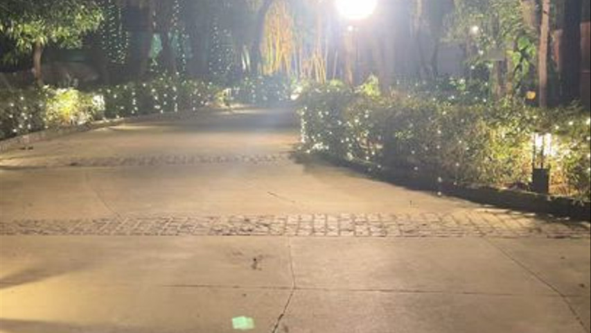 Wedding Event 