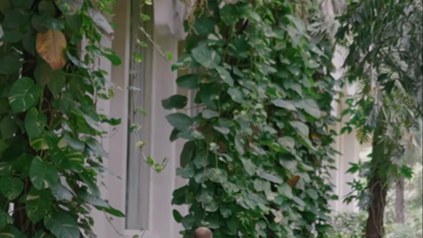 Shaddi Ka Ladoo, Hyderabad