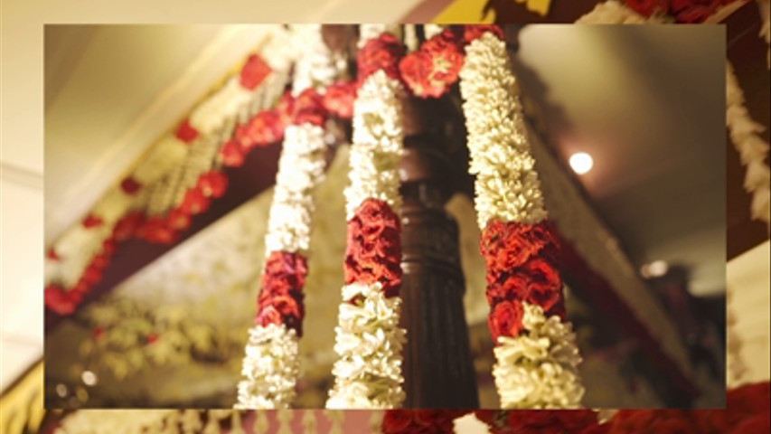 Wedding Project India