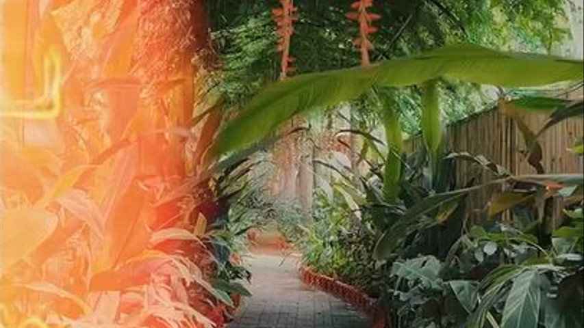 Escape to Green Serenity at Mandala Resort 