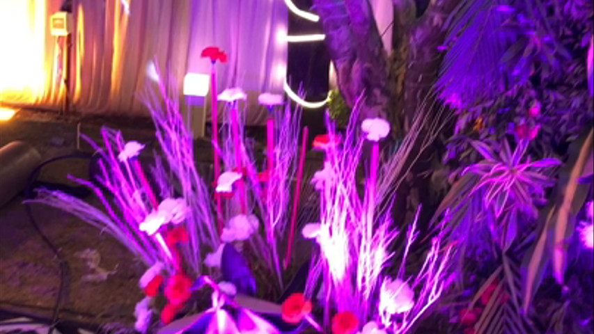 Sangeet Decor