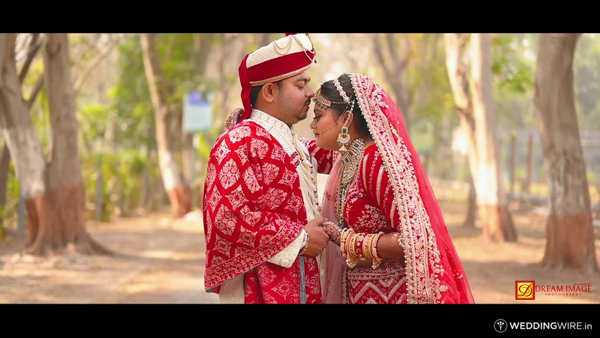 Dhwanil & Mansi Wedding Highlight 