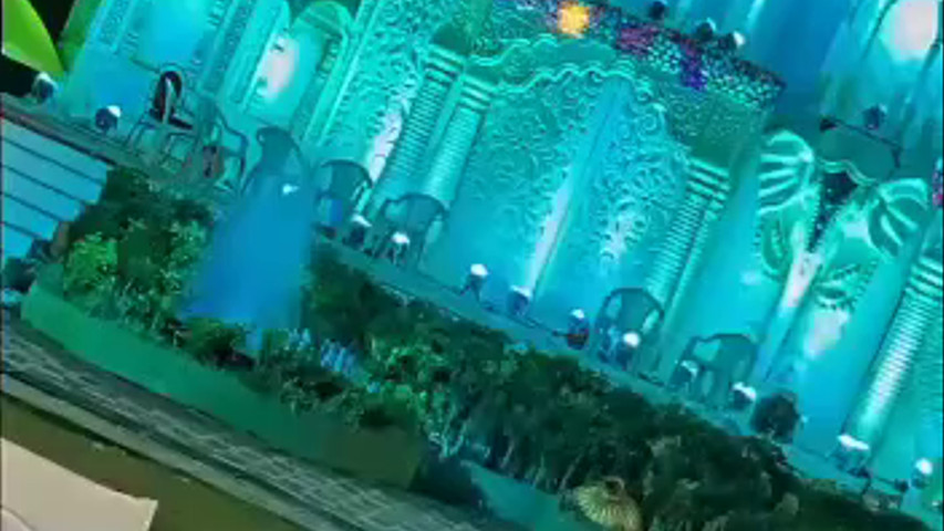 VIP wedding decoration 