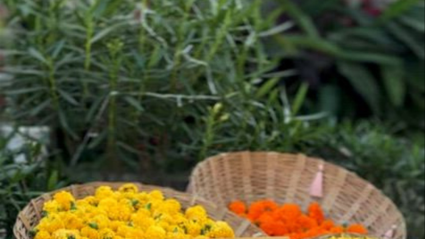 Haldi prep 