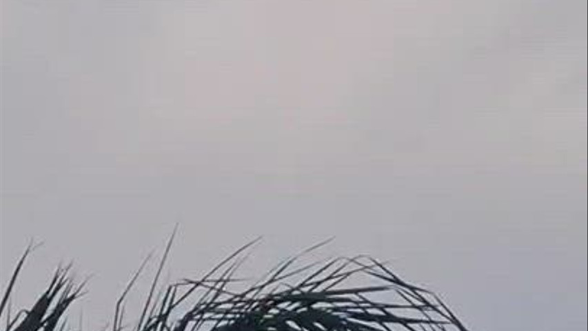 Chitralekha Boutique Resort