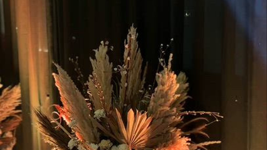 Dream Catcher Events