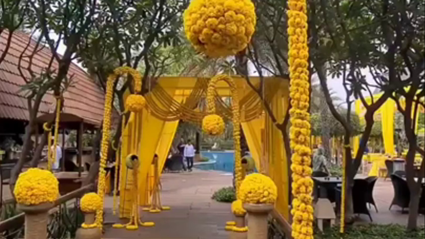 Haldi setup