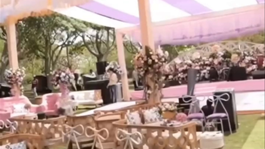 Theperfectaffair anjali 