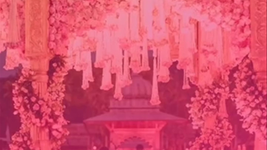 Theperfectaffair anjali 