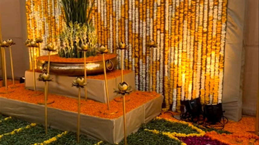 Theperfectaffair anjali 