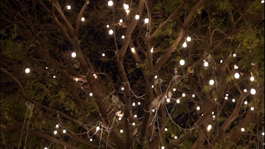 The team perfect affair reel 