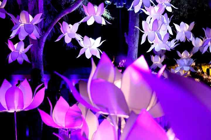 wedding decoration stuff