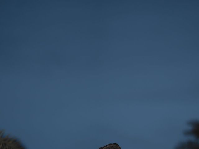 Tushar and Nandini's wedding in Chandigarh City, Chandigarh 7