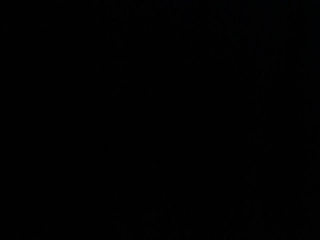 Kalyani and Dishant's wedding in Dausa, Rajasthan 13