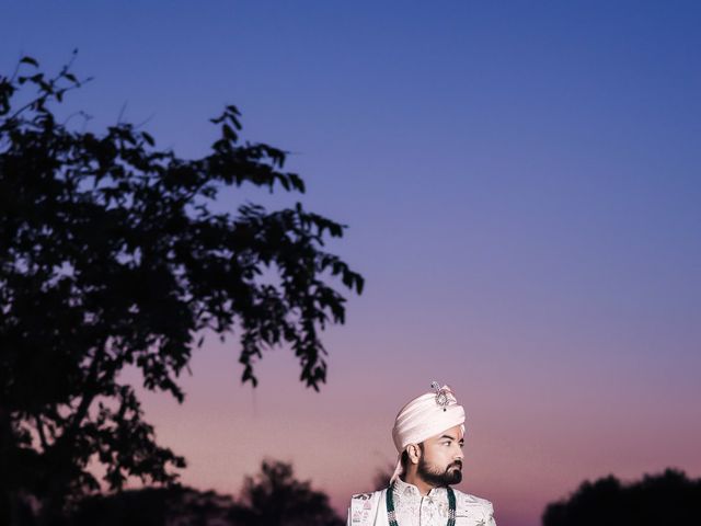 Kalyani and Dishant's wedding in Dausa, Rajasthan 37