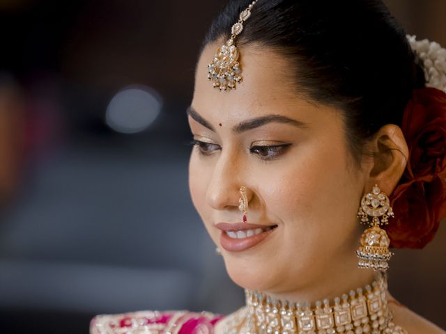 Sahil and Prithika's wedding in Hisar, Haryana 5