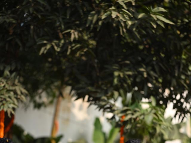 Aakansh and Jaipriya's wedding in Gorakhpur, Uttar Pradesh 8