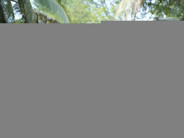 boobathi and prethika's wedding in Coimbatore, Tamil Nadu 11