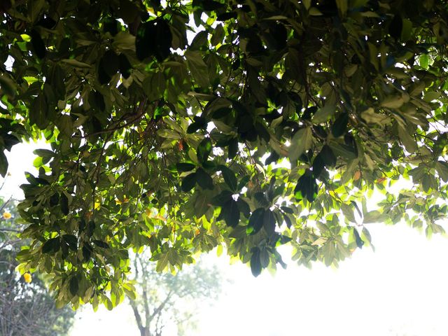 Kajol and Kunal's wedding in Ranga Reddy, Telangana 1