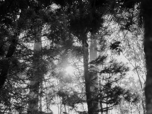 Kajol and Kunal's wedding in Ranga Reddy, Telangana 14