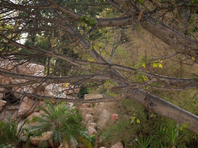 Kajol and Kunal's wedding in Ranga Reddy, Telangana 2