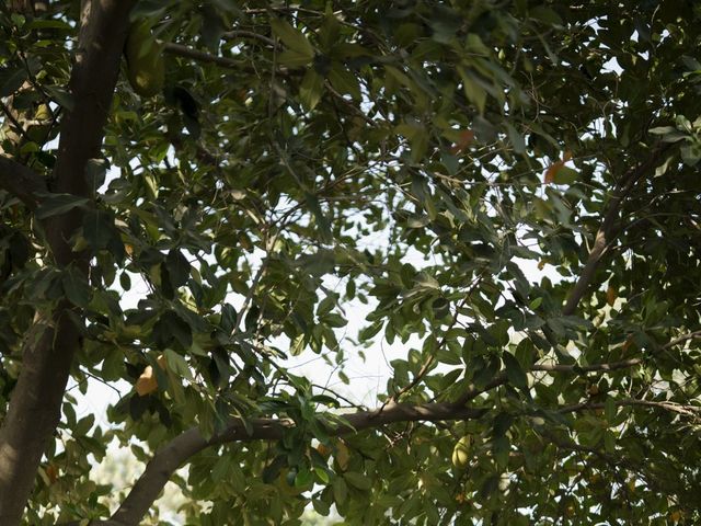 Kajol and Kunal's wedding in Ranga Reddy, Telangana 31