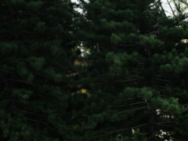 Kajol and Kunal's wedding in Ranga Reddy, Telangana 57