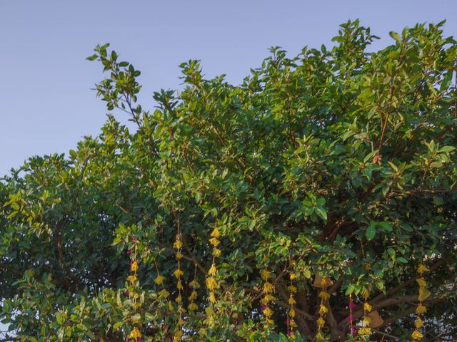 Aashna and Lalit's wedding in Satara, Maharashtra 354