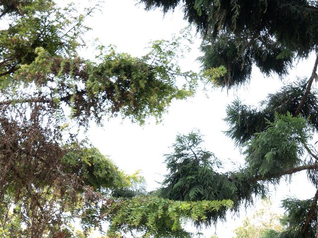 Soumya and Anuj's wedding in Dehradun, Uttarakhand 17