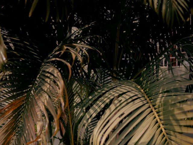 Shauryash and Meenakshi's wedding in Dehradun, Uttarakhand 3