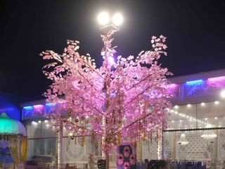 RAHUL &amp; ARCHANA's wedding 3
