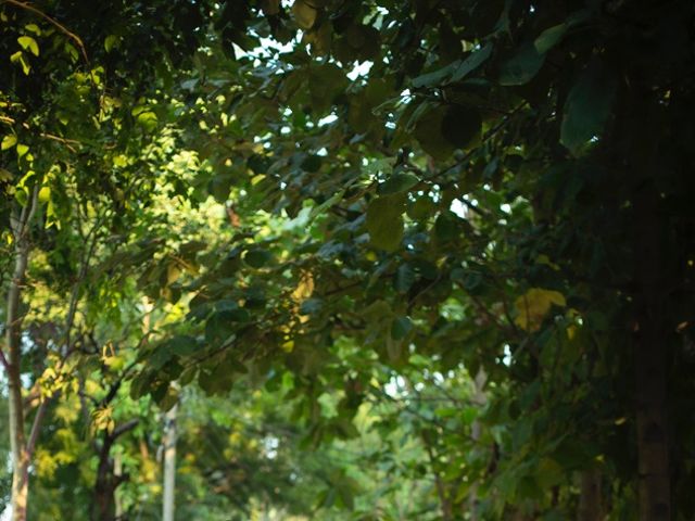 Joyse and Nikhil's wedding in Gurgaon, Delhi NCR 9