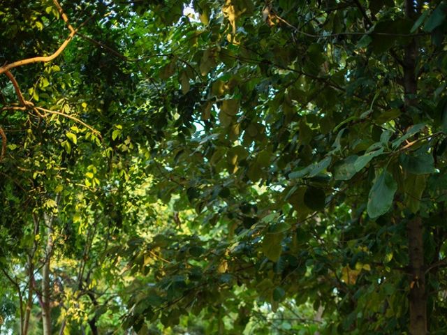 Joyse and Nikhil's wedding in Gurgaon, Delhi NCR 10