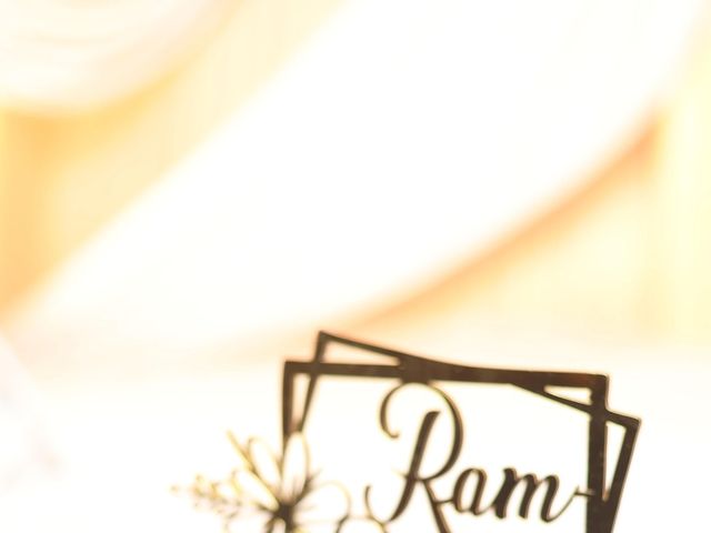 Ram and Damini&apos;s wedding in Lucknow, Uttar Pradesh 11