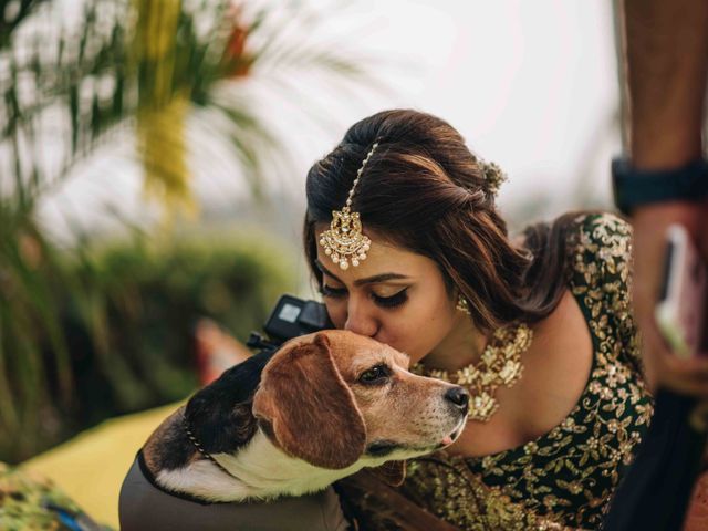 Vaishnavi and Darshil's wedding in Anand, Gujarat 19