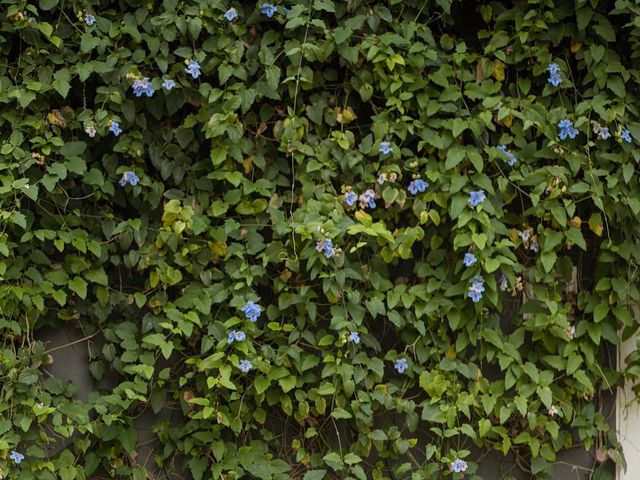 SHRUTI and SHANTANU's wedding in Bangalore, Karnataka 247