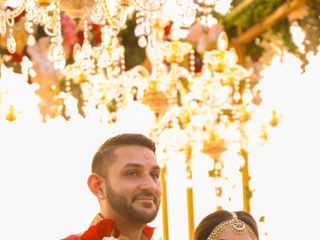 The wedding of Anisha and Ravi