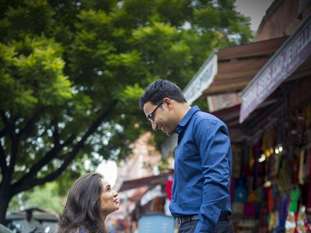 Seep and Bhavyesh's wedding in Jaipur, Rajasthan 5