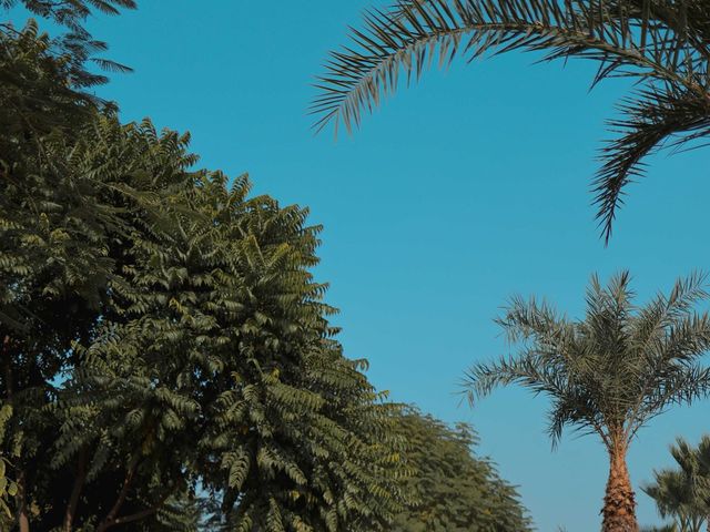 Shantanu and Arpita's wedding in Ghaziabad, Delhi NCR 56