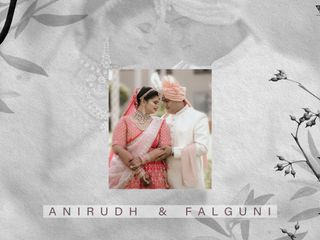 Anirudha & Falguni's wedding