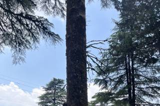 Minto Holidays, Delhi - 8