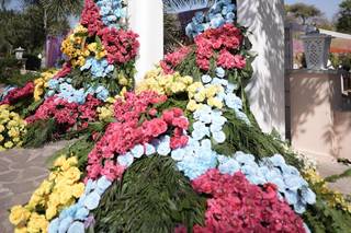 Spring Diaries Events - 7