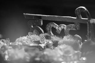 Prit Digital Photo - 10