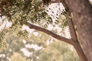 Prit Digital Photo - 7