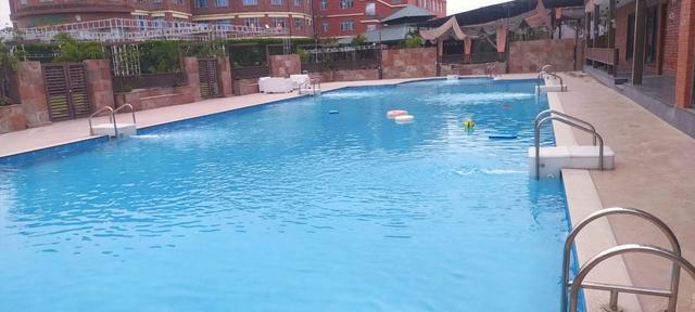 Standard Weddings and Party Maker, Dehradun - 1