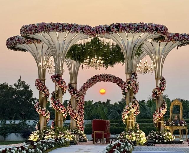 Agra Camps and Resort - 1
