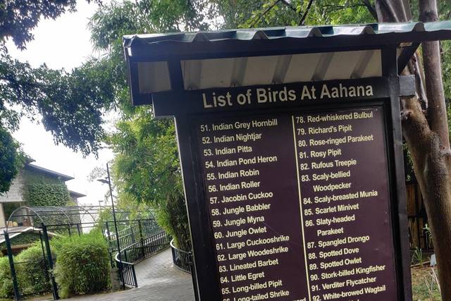 Aahana Resort - A Luxury Collection 3