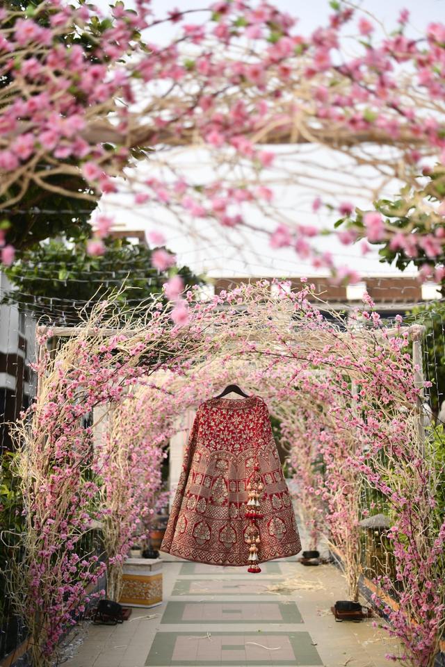 Wedding Raas - 2